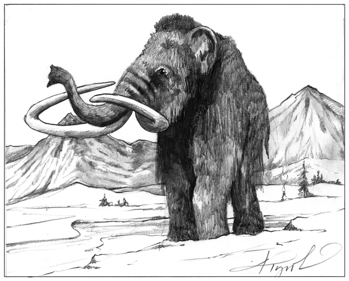 Mammoth!