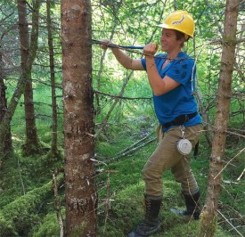 tree-core-spr19.jpg thumbnail