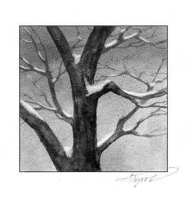 tree_dormancy_2.jpg thumbnail