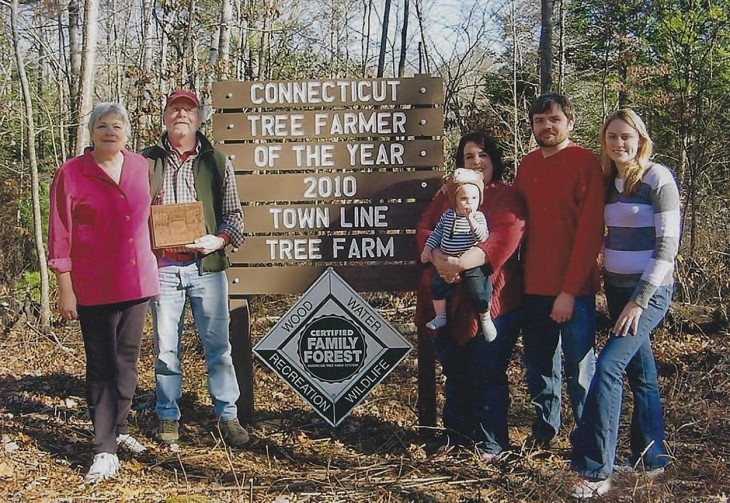 Looking Outward from Town Line Tree Farm