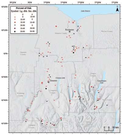 Tree plot map