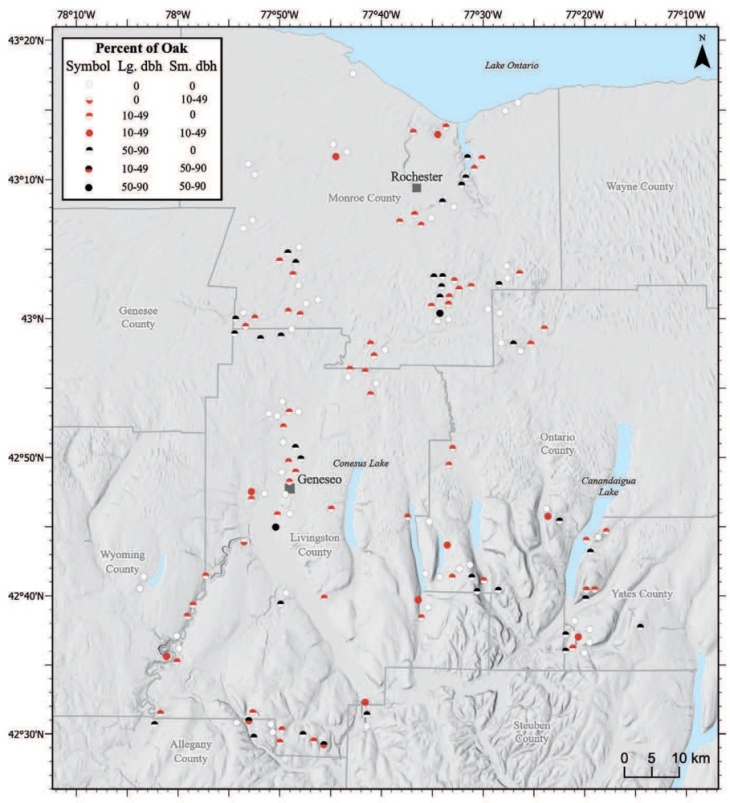 Western New York Forests Are Growing Less Fired Up