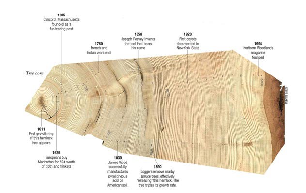 Four Centuries of Slow Growth