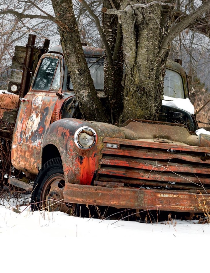 Tree truck