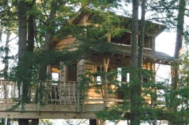 treehouse.jpg thumbnail