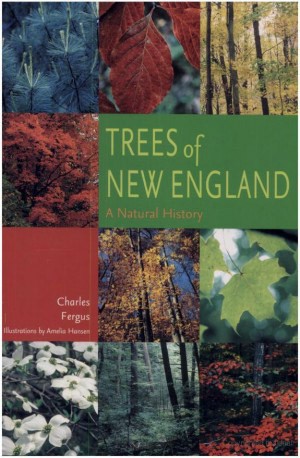 Trees of New England: A Natural History thumbnail