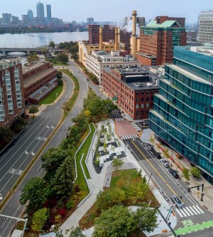 “Reimagining the Leftovers” as Forests, One City Park at a Time thumbnail