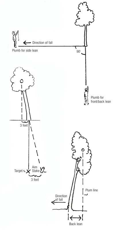 tricksAUT08.jpg