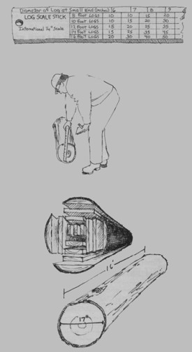 trickssum08.jpg thumbnail