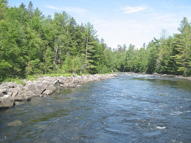 Troubled Waters: Preserving a World-Class Trout Fishery in Maine