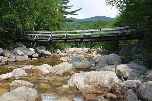 trout_fishing_4.jpg