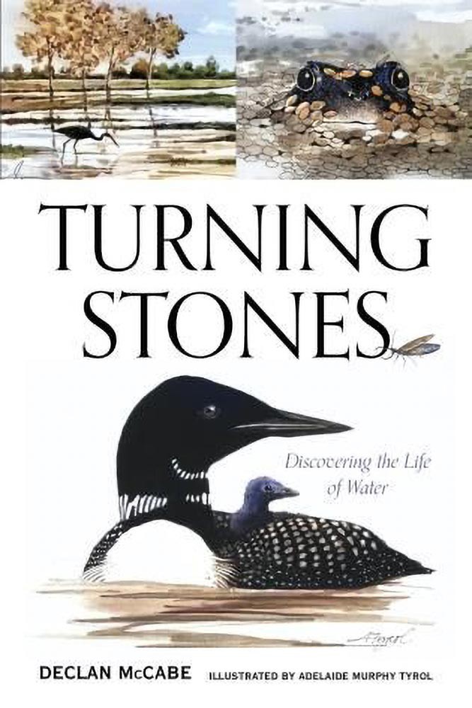 Turning Stones thumbnail