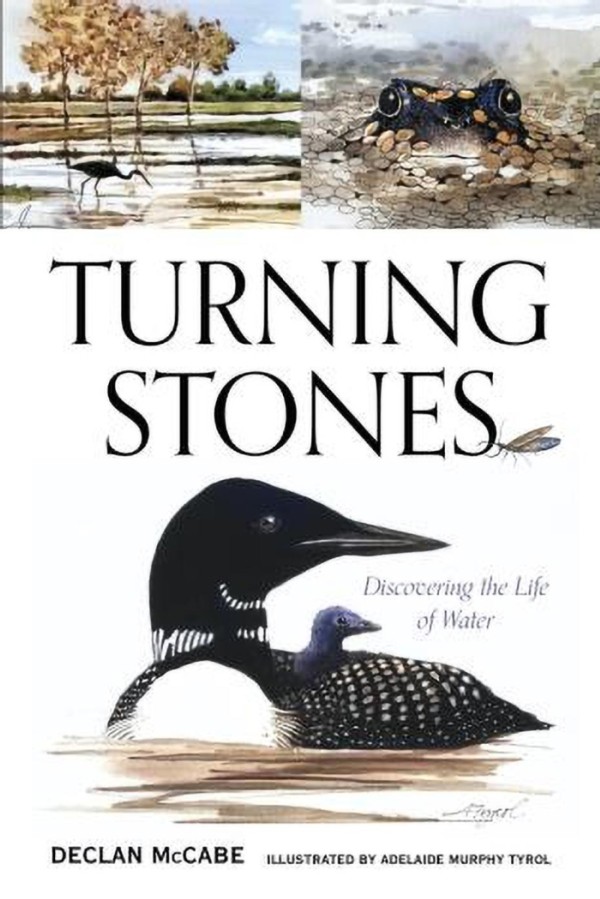 Turning Stones with Declan McCabe