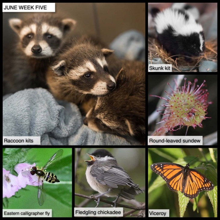TW21_June_Week_Five_web.jpg