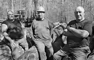 Portrait of a Forest: Men and Machine thumbnail