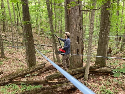 Vacuuming arthropods