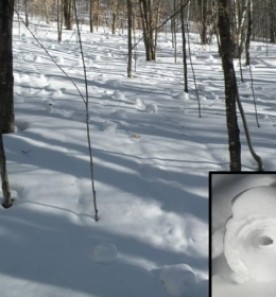 village_web.jpg thumbnail