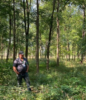 Walnut grove thumbnail