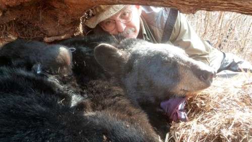 Walt Cottrell and bears