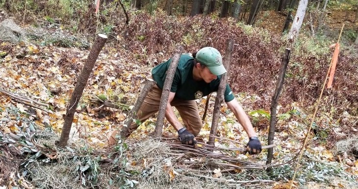 Building Beaver Dam Analogs to Restore Watersheds