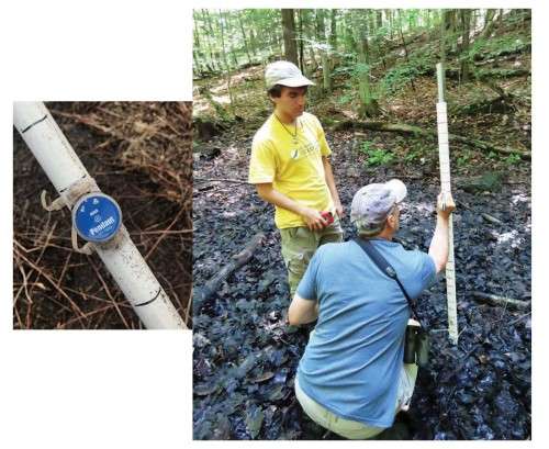 Wetland monitoring