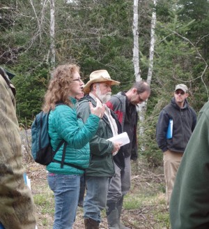 Exploring the Woods and Wetlands along Carroll Stream thumbnail