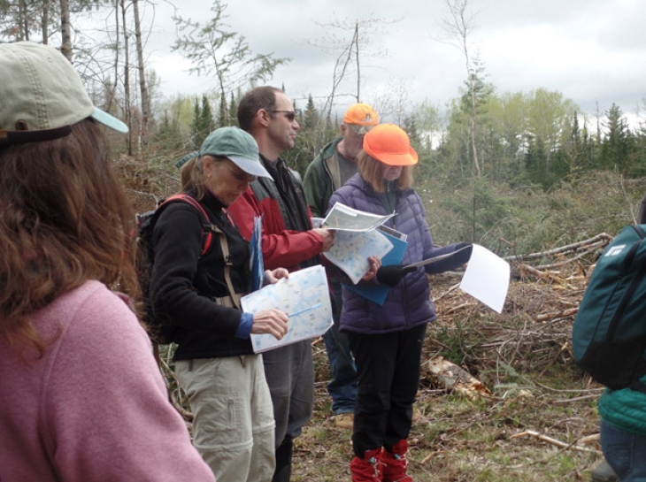 Exploring the Woods and Wetlands along Carroll Stream