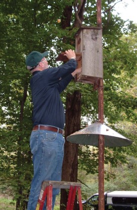 wetlands.jpg thumbnail