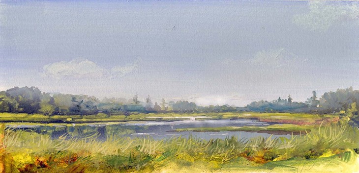 Wetlands