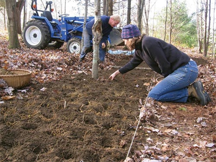 Wild Farms: Woodland Gardening in the 21st Century