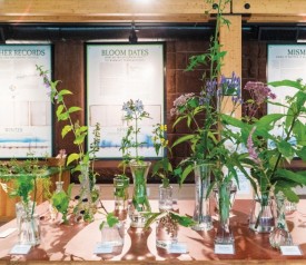 Wildflower table thumbnail