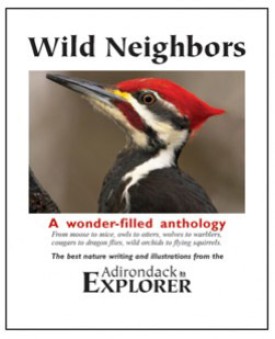 wildneighbors.jpg thumbnail