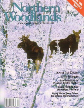 Photo by Charles H. Willey Winter 2004 cover 