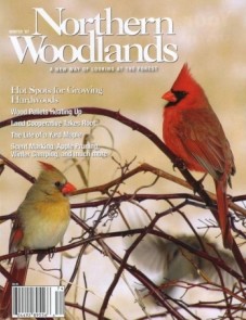 Photo by Tom Kivlan Voss Win07w.jpg cover 