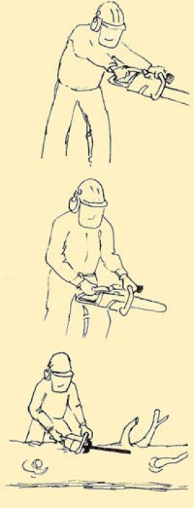 Win08_tricks.jpg thumbnail