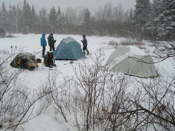 At Work Guiding in the Adirondacks with Lynn Malerba