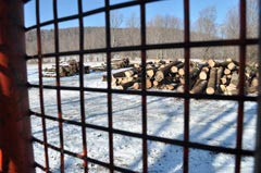 Wood Industry Woes Drag On