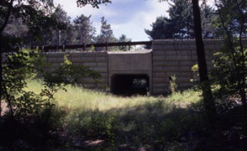 Wildlife Tunnel
