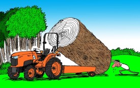 Firewood Aficionado thumbnail