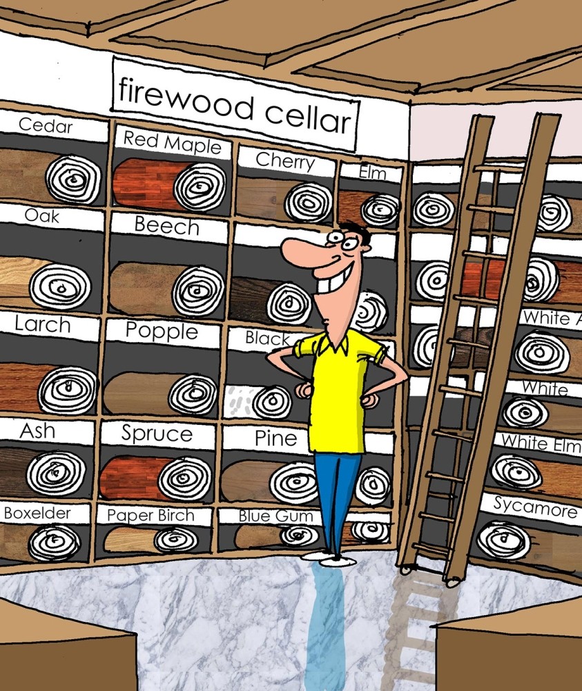 Musings of a Firewood Aficionado