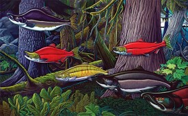 Deep Forest thumbnail