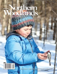 Photo by Anne Small Winter 2020 cover  by Northern Woodlands