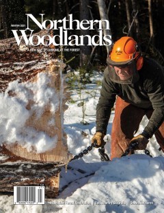 Cover of Winter magazine cover