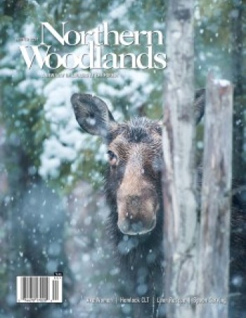 Photo by Shaun Terhune Winter Magazine cover  by Northern Woodlands