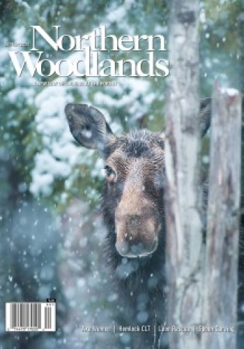 Cover of Winter Magazine