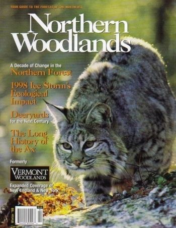 Photo by Susan C. Morse Winter 1999 cover 