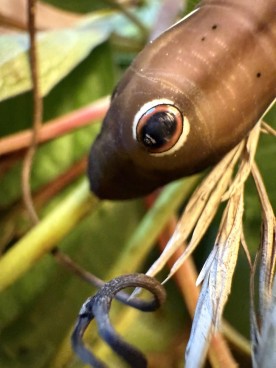 Mystery photo thumbnail