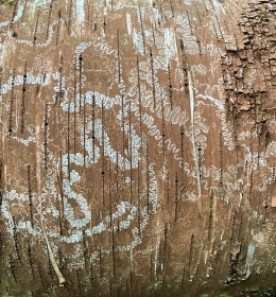 Mystery marks thumbnail