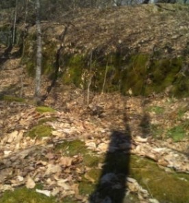 Mystery photo thumbnail