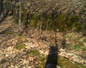 Mystery photo thumbnail